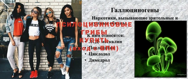 тгк Лиски