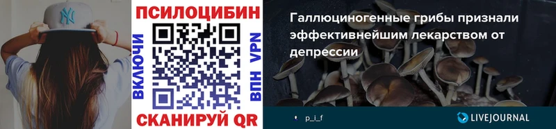 Галлюциногенные грибы Cubensis гидра Ростов-на-Дону