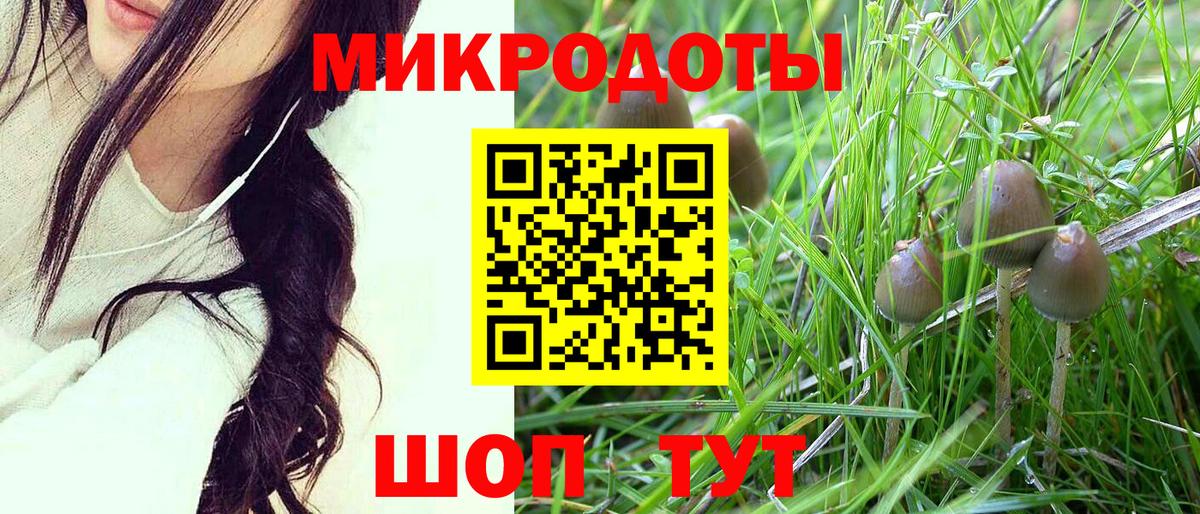 что такое наркотик  Ростов-на-Дону  Псилоцибиновые грибы ЛСД 