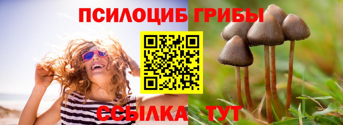 Псилоцибиновые грибы Cubensis  закладки  Ростов-на-Дону  Вход с VPN  Галлюциногенные грибы Cubensis 